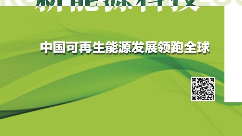V型磷酸铁锂电池型号解析：揭秘其性能与报价**